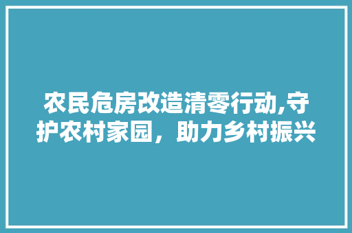 农民危房改造清零行动,守护农村家园，助力乡村振兴