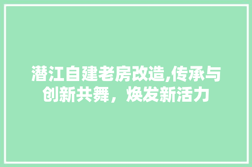 潜江自建老房改造,传承与创新共舞，焕发新活力 装修材料