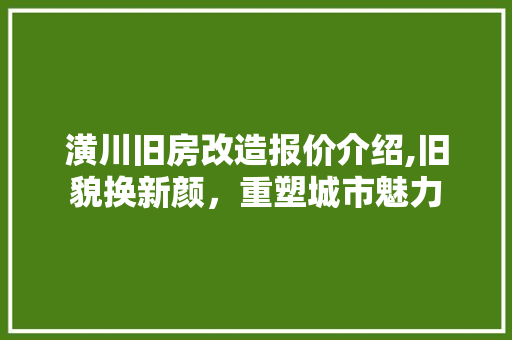 潢川旧房改造报价介绍,旧貌换新颜，重塑城市魅力 门窗装修