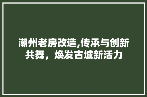 潮州老房改造,传承与创新共舞，焕发古城新活力 建筑设计