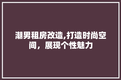 潮男租房改造,打造时尚空间，展现个性魅力