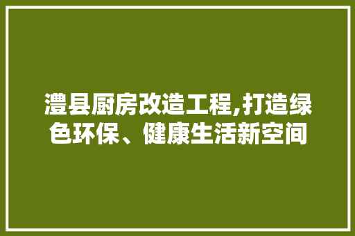 澧县厨房改造工程,打造绿色环保、健康生活新空间