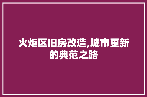 火炬区旧房改造,城市更新的典范之路