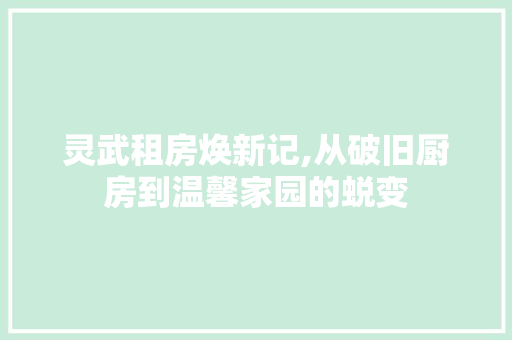 灵武租房焕新记,从破旧厨房到温馨家园的蜕变 地面装修 灵武租房焕新记,从破旧厨房到温馨家园的蜕变 地面装修