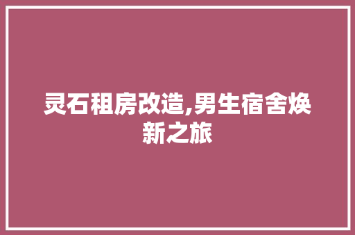灵石租房改造,男生宿舍焕新之旅
