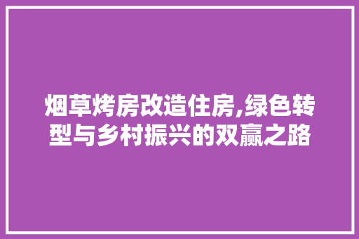 烟草烤房改造住房,绿色转型与乡村振兴的双赢之路 地面装修
