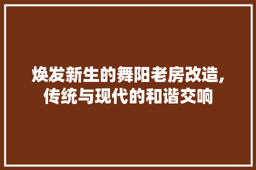焕发新生的舞阳老房改造,传统与现代的和谐交响