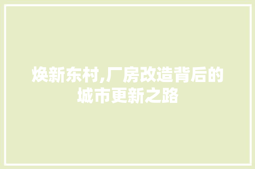 焕新东村,厂房改造背后的城市更新之路