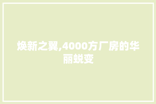 焕新之翼,4000方厂房的华丽蜕变