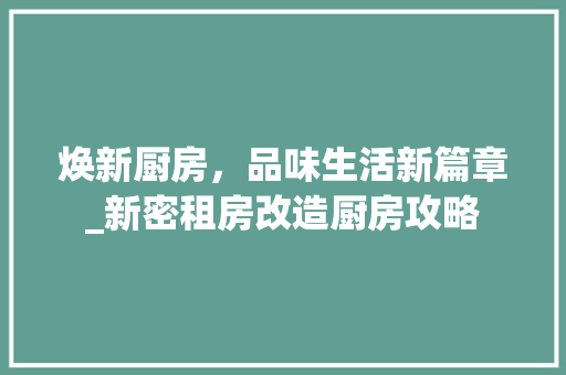 焕新厨房，品味生活新篇章_新密租房改造厨房攻略
