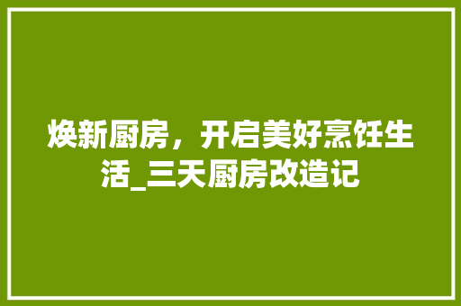 焕新厨房，开启美好烹饪生活_三天厨房改造记