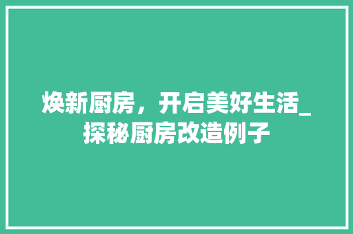 焕新厨房，开启美好生活_探秘厨房改造例子 隔断设计