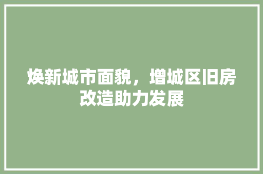 焕新城市面貌，增城区旧房改造助力发展