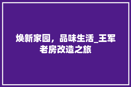 焕新家园，品味生活_王军老房改造之旅 建筑设计