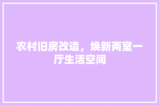 农村旧房改造，焕新两室一厅生活空间
