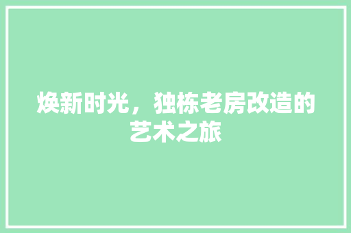 焕新时光，独栋老房改造的艺术之旅 建筑设计