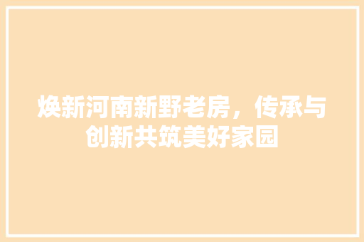 焕新河南新野老房，传承与创新共筑美好家园 地面装修