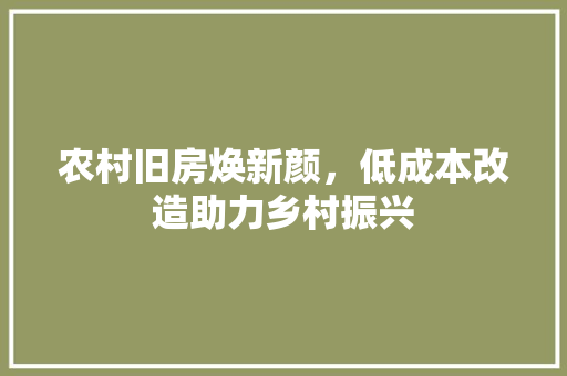 农村旧房焕新颜，低成本改造助力乡村振兴