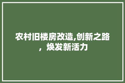 农村旧楼房改造,创新之路，焕发新活力