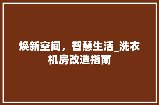 焕新空间，智慧生活_洗衣机房改造指南