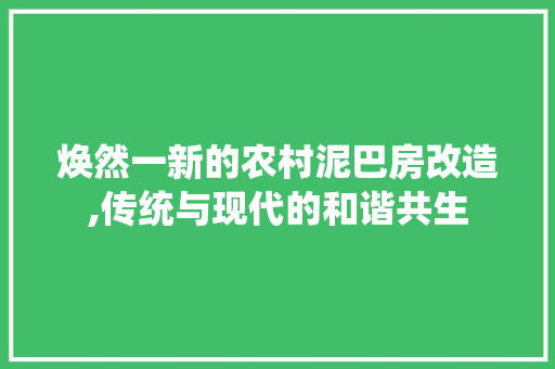 焕然一新的农村泥巴房改造,传统与现代的和谐共生 地面装修 焕然一新的农村泥巴房改造,传统与现代的和谐共生 地面装修