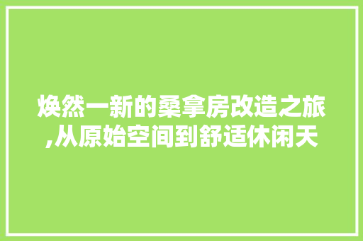 焕然一新的桑拿房改造之旅,从原始空间到舒适休闲天堂