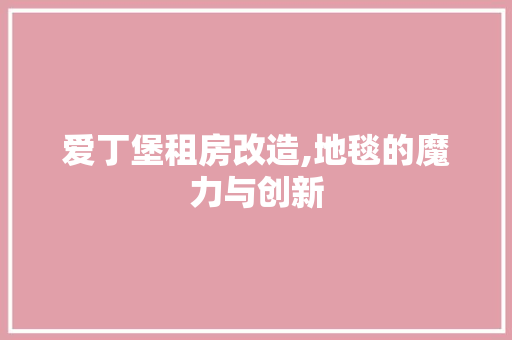 爱丁堡租房改造,地毯的魔力与创新