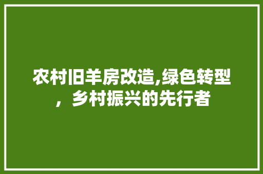 农村旧羊房改造,绿色转型，乡村振兴的先行者