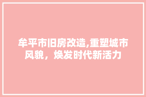 牟平市旧房改造,重塑城市风貌，焕发时代新活力