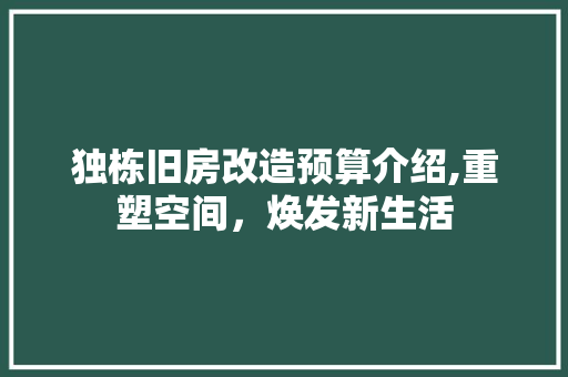 独栋旧房改造预算介绍,重塑空间，焕发新生活 建筑设计