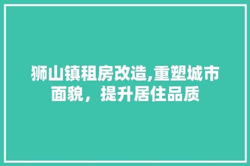 狮山镇租房改造,重塑城市面貌，提升居住品质 地面装修