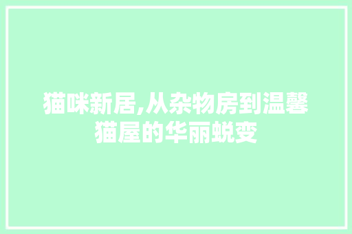 猫咪新居,从杂物房到温馨猫屋的华丽蜕变 门窗装修 猫咪新居,从杂物房到温馨猫屋的华丽蜕变 门窗装修