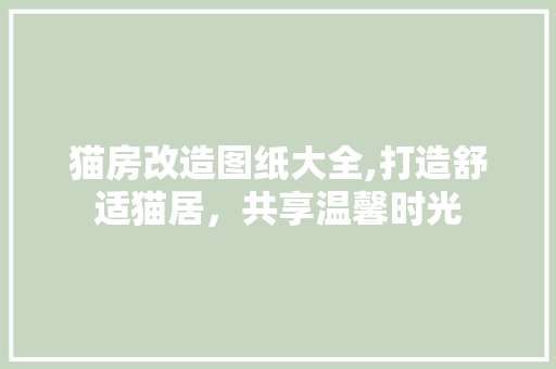 猫房改造图纸大全,打造舒适猫居，共享温馨时光 隔断设计