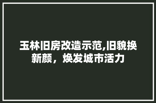 玉林旧房改造示范,旧貌换新颜，焕发城市活力 墙面装饰