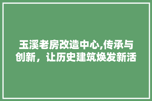 玉溪老房改造中心,传承与创新，让历史建筑焕发新活力 墙面装饰