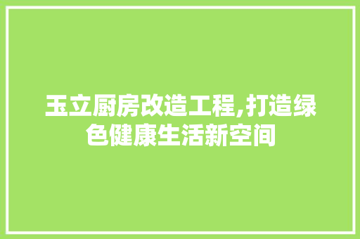 玉立厨房改造工程,打造绿色健康生活新空间