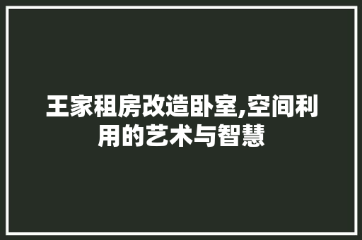 王家租房改造卧室,空间利用的艺术与智慧 地面装修