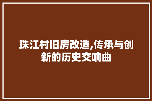 珠江村旧房改造,传承与创新的历史交响曲