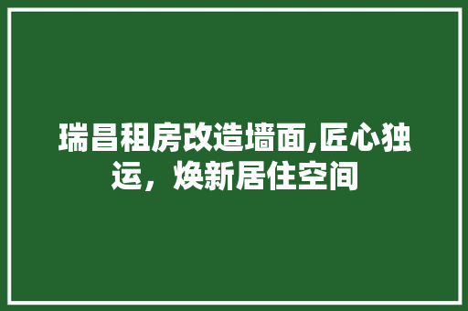 瑞昌租房改造墙面,匠心独运，焕新居住空间 墙面装饰