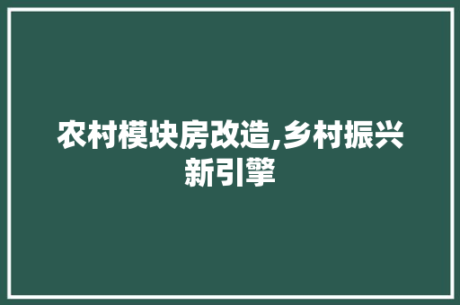 农村模块房改造,乡村振兴新引擎