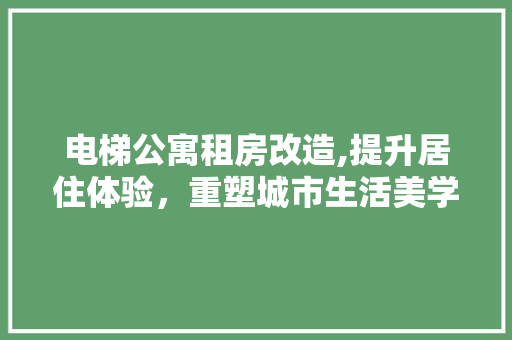 电梯公寓租房改造,提升居住体验，重塑城市生活美学