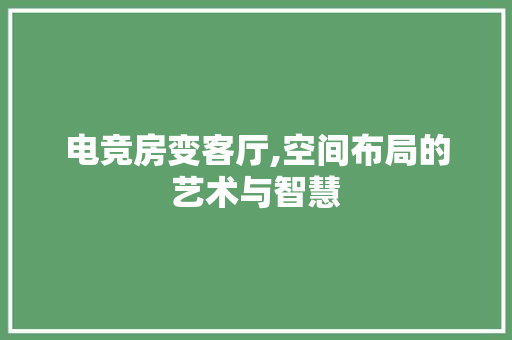 电竞房变客厅,空间布局的艺术与智慧