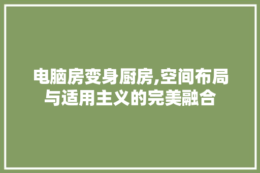 电脑房变身厨房,空间布局与适用主义的完美融合