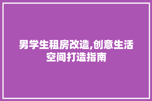 男学生租房改造,创意生活空间打造指南