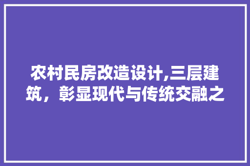 农村民房改造设计,三层建筑，彰显现代与传统交融之美