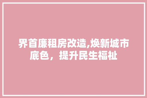 界首廉租房改造,焕新城市底色，提升民生福祉