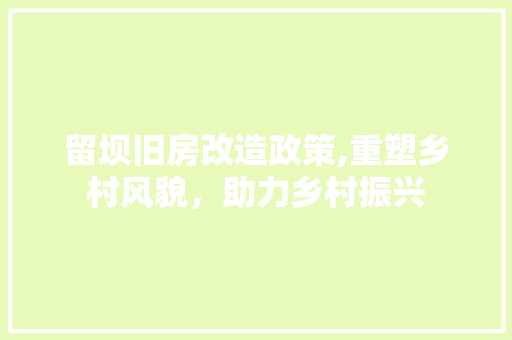 留坝旧房改造政策,重塑乡村风貌，助力乡村振兴 装修材料