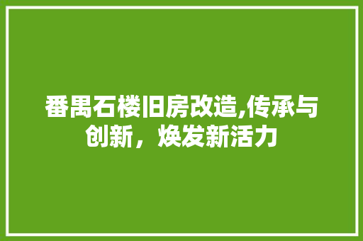 番禺石楼旧房改造,传承与创新，焕发新活力 装修攻略
