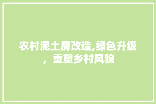 农村泥土房改造,绿色升级，重塑乡村风貌