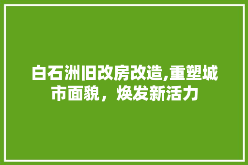白石洲旧改房改造,重塑城市面貌，焕发新活力 墙面装饰